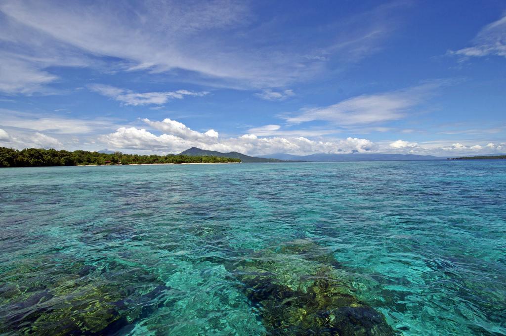 Bunaken Divers Sea Breeze Resort Exteriör bild